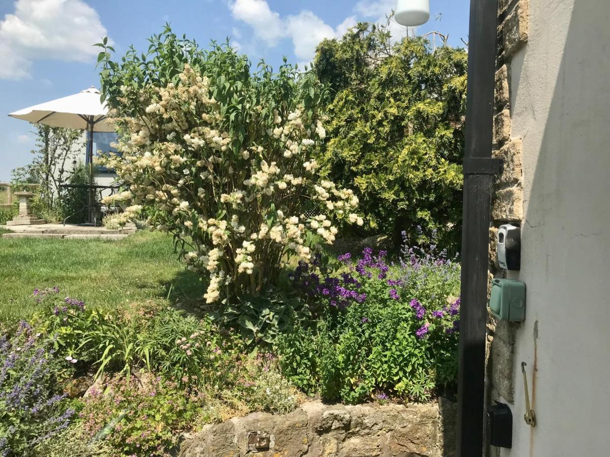 Charming Modernized Country Cottage Near Mere, Wiltshire Mere  Esterno foto